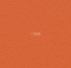 Forbo Marmoleum Bulletin Board 2211 tangerine zest фото 1 | FLOORDEALER